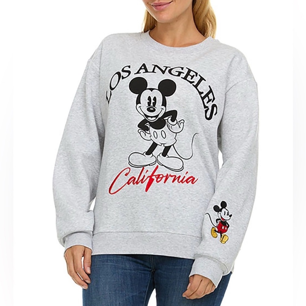 Disney Character Destination Sweatshirt - NWT